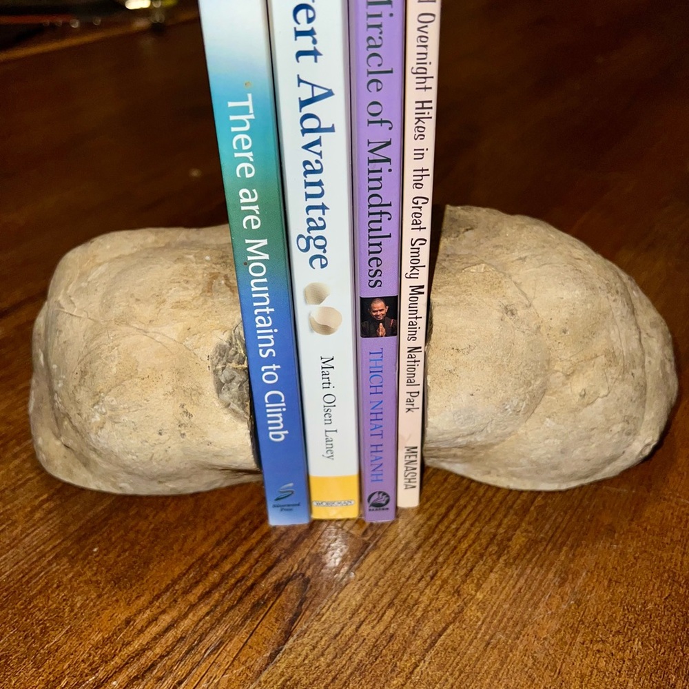 Vintage Set Large Septarian Stone Natural Bookend Decor Dragons Egg RARE FIND - Picture 4 of 14